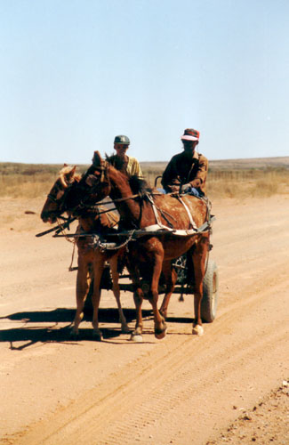 Kalahari Ferrari