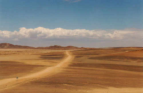 Desert