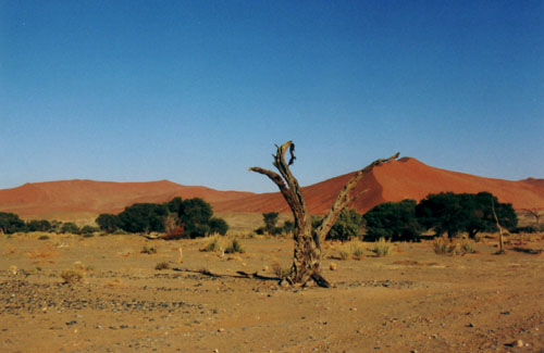 Sossusvlei