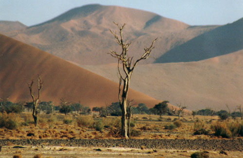 Sossusvlei