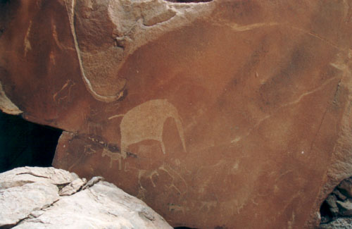 Petrographs near Twyfelfontein